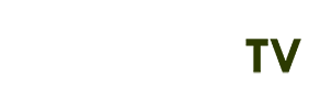 tỷ số trực tuyến